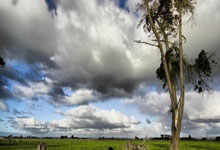 雷速体育网页版-中国羽毛球队惊艳逆袭:谌龙领衔实力碾压印尼,爆冷成就传奇