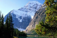 雷速体育网页版-比利时血洗法国,博格巴2制霸全场