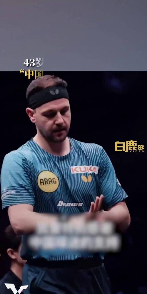 关于日本乒乓球队逆转波兰乒乓球队，波尔惊艳世界的信息