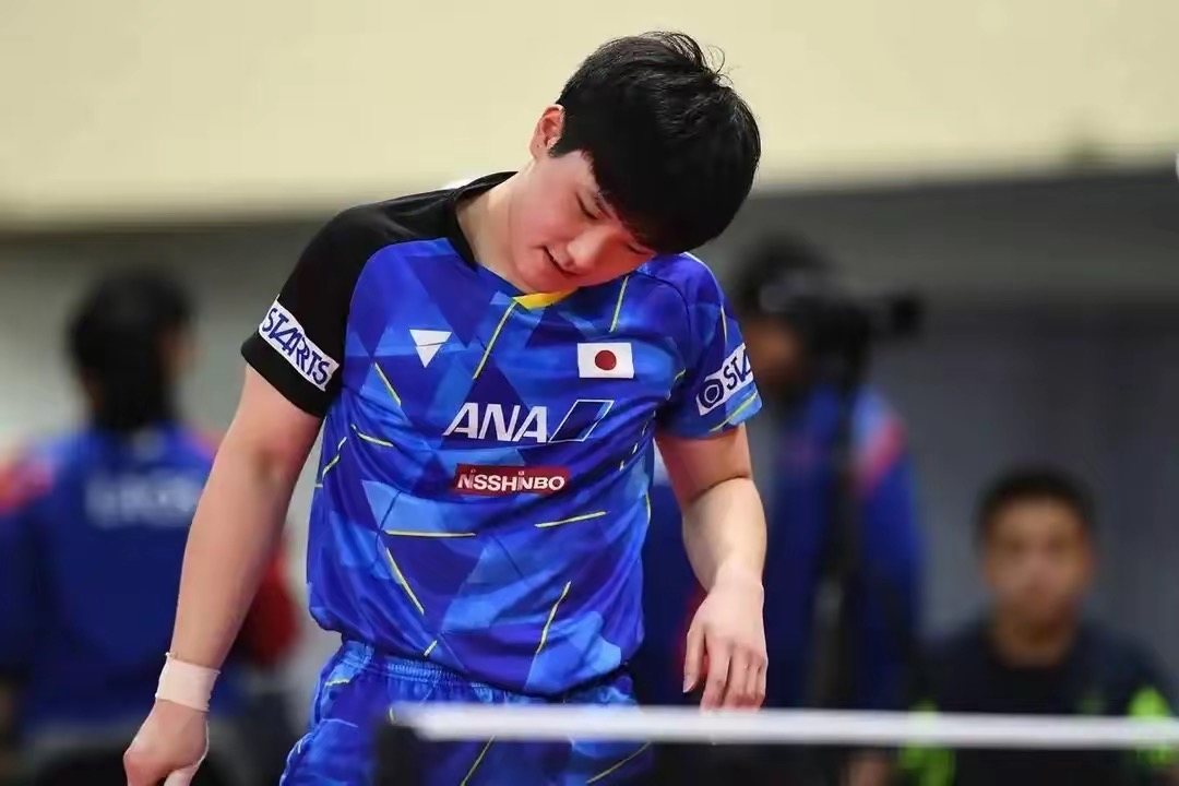 关于瑞典乒乓球队完胜韩国乒乓球队，张本智和绝境逆转的信息