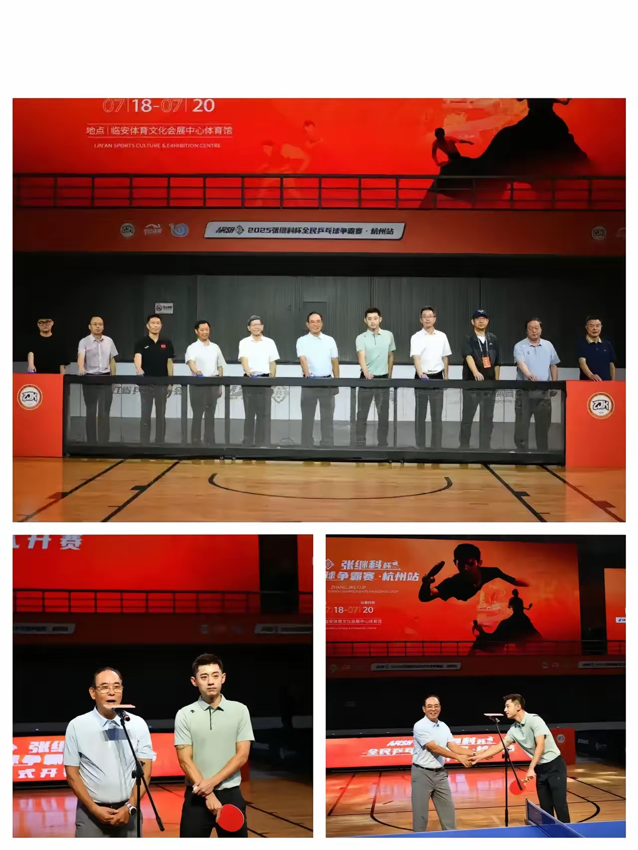 关于日本队险胜德国队，张继科关键制胜的信息